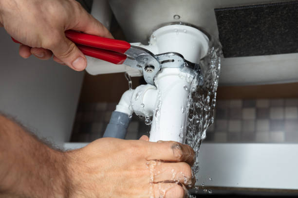 Best Sewage cleanup and water damage restoration  in Spring Hill, FL