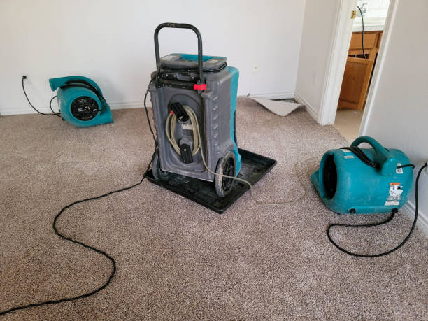 Professional Water damage restoration in Spring Hill, FL