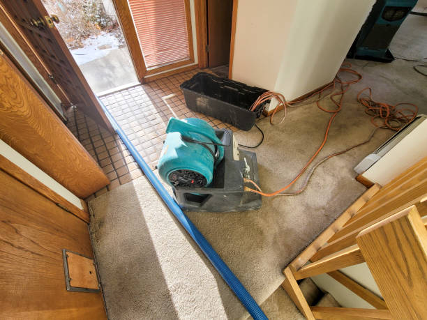 Best Water damage restoration company  in Spring Hill, FL
