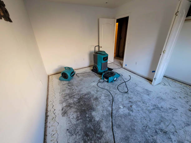 Best Local water damage restoration  in Spring Hill, FL