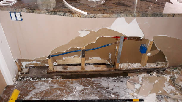 Best Basement water damage restoration  in Spring Hill, FL