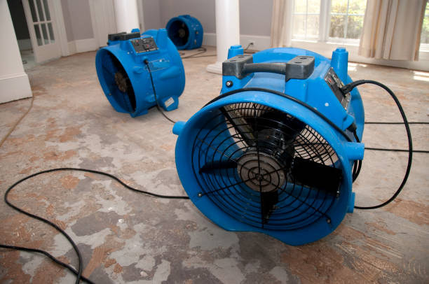 Best Flood restoration services  in Spring Hill, FL