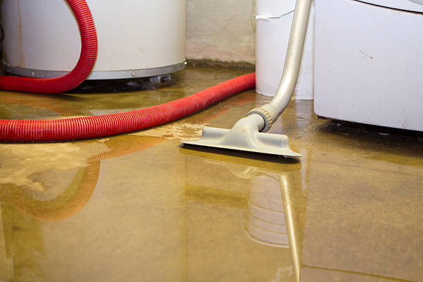 24/7 water damage repair in Spring Hill, FL