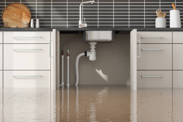 Best Commercial water damage restoration  in Spring Hill, FL